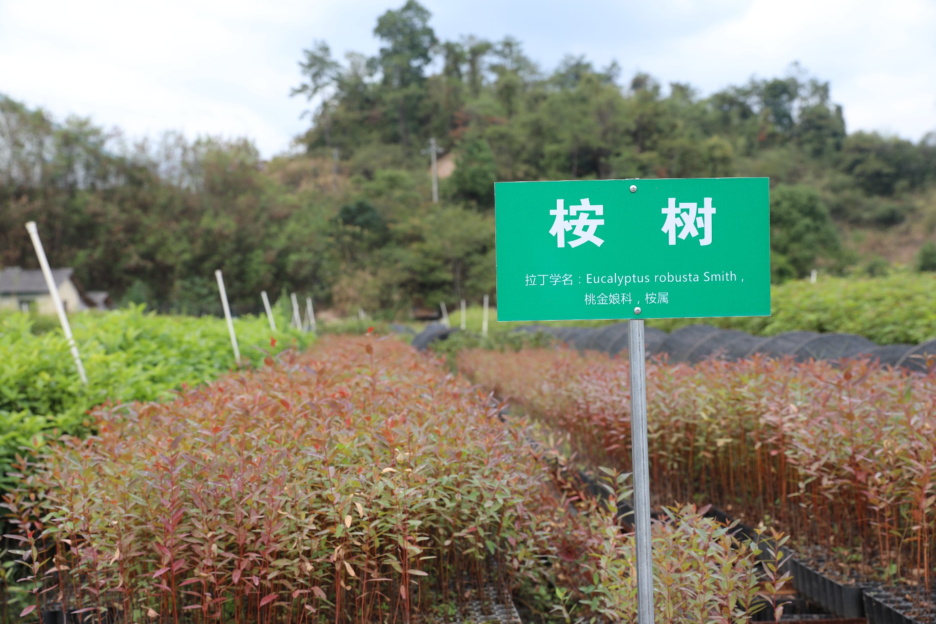 1669271853681235.png 微信圖片_20221212152418.jpg