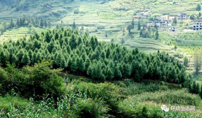 學術科普 | 生態保護修復有助于碳中和